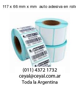 117 x 66 mm x mm  auto adesiva en rollo