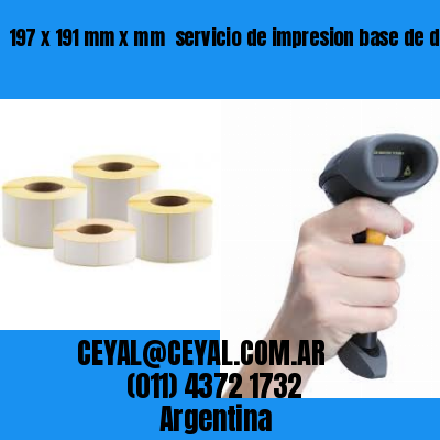 197 x 191 mm x mm  servicio de impresion base de datos