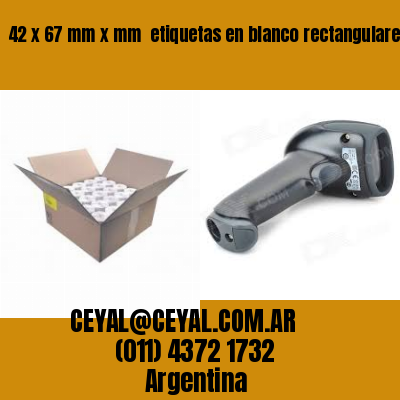 42 x 67 mm x mm  etiquetas en blanco rectangulares