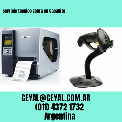 servicio tecnico zebra en Caballito