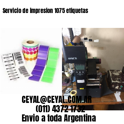 Servicio de impresion 1075 etiquetas