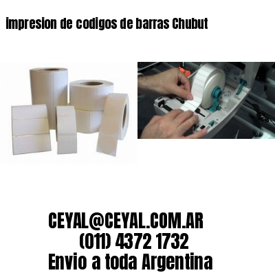 impresion de codigos de barras Chubut