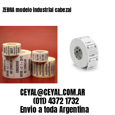 ZEBRA modelo industrial cabezal