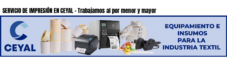 SERVICIO DE IMPRESIÓN EN CEYAL - Trabajamos al por menor y mayor
