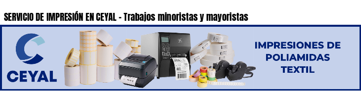 SERVICIO DE IMPRESIÓN EN CEYAL - Trabajos minoristas y mayoristas