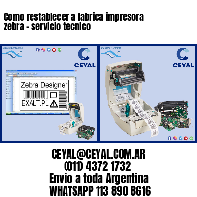 Como restablecer a fabrica impresora zebra – servicio tecnico