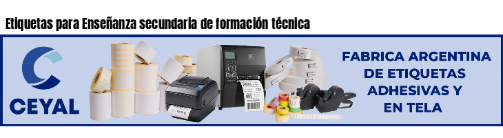 Etiquetas para Enseñanza secundaria de formación técnica