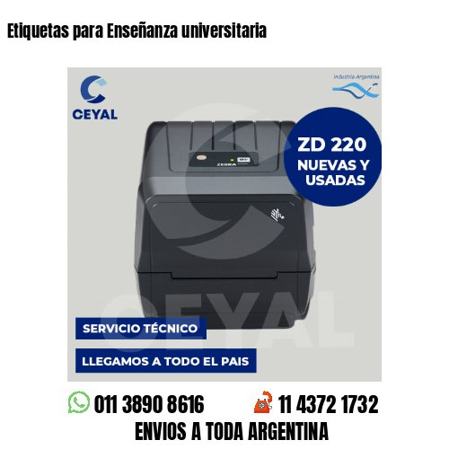 Etiquetas para Enseñanza universitaria