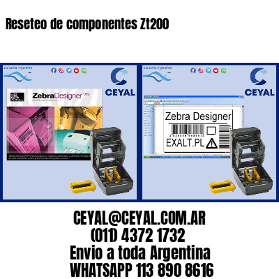 Reseteo de componentes Zt200