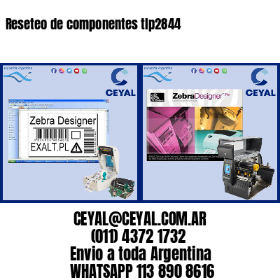 Reseteo de componentes tlp2844