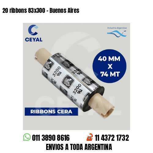 20 ribbons 83×300 – Buenos Aires