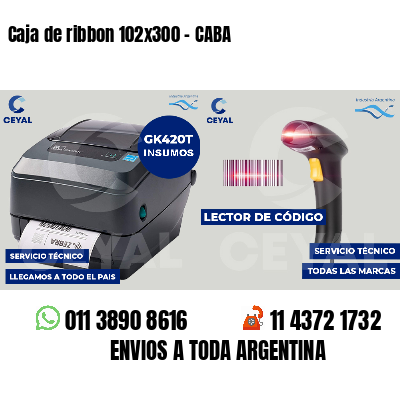 Caja de ribbon 102x300 - CABA