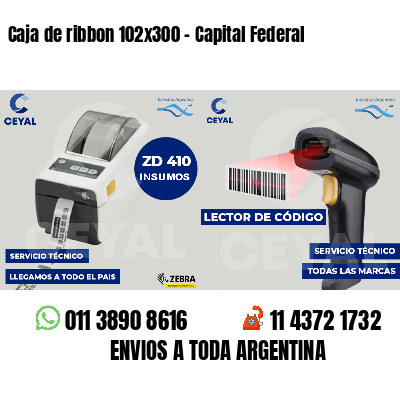Caja de ribbon 102x300 - Capital Federal