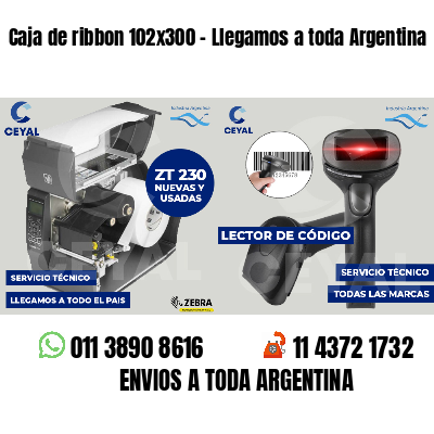 Caja de ribbon 102x300 - Llegamos a toda Argentina