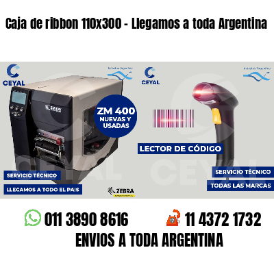 Caja de ribbon 110x300 - Llegamos a toda Argentina