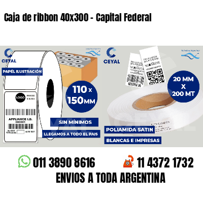 Caja de ribbon 40x300 - Capital Federal