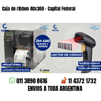 Caja de ribbon 40x300 - Capital Federal