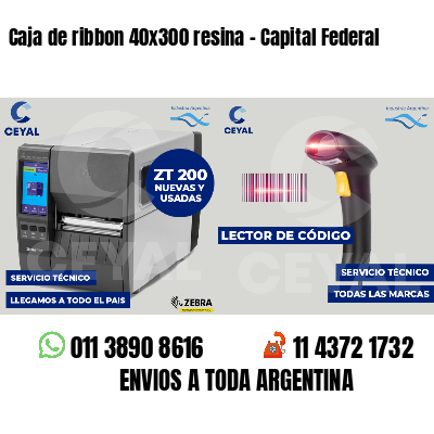 Caja de ribbon 40x300 resina - Capital Federal
