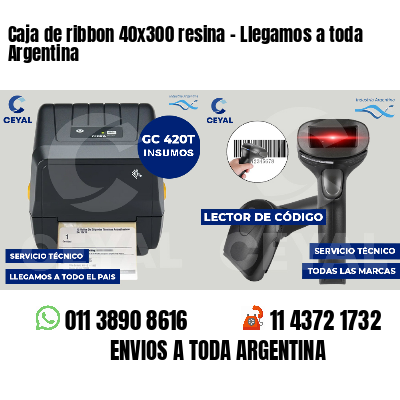 Caja de ribbon 40x300 resina - Llegamos a toda Argentina