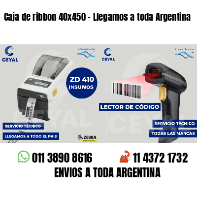 Caja de ribbon 40x450 - Llegamos a toda Argentina