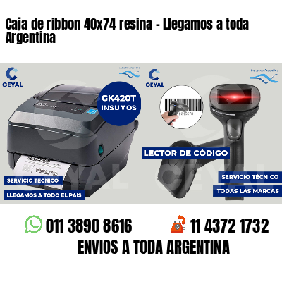 Caja de ribbon 40x74 resina - Llegamos a toda Argentina