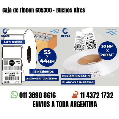 Caja de ribbon 60x300 - Buenos Aires
