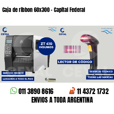 Caja de ribbon 60x300 - Capital Federal