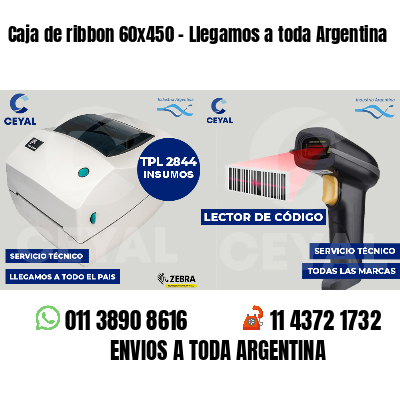 Caja de ribbon 60x450 - Llegamos a toda Argentina
