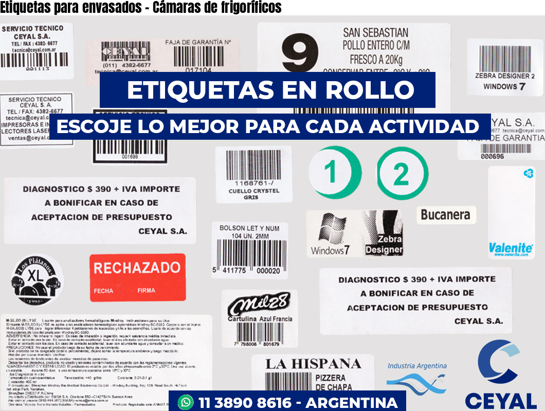 Etiquetas para envasados – Cámaras de frigoríficos
