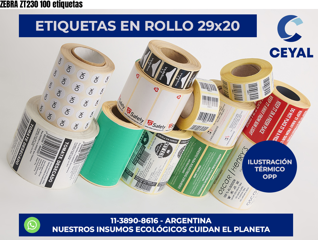 ZEBRA ZT230 100 etiquetas