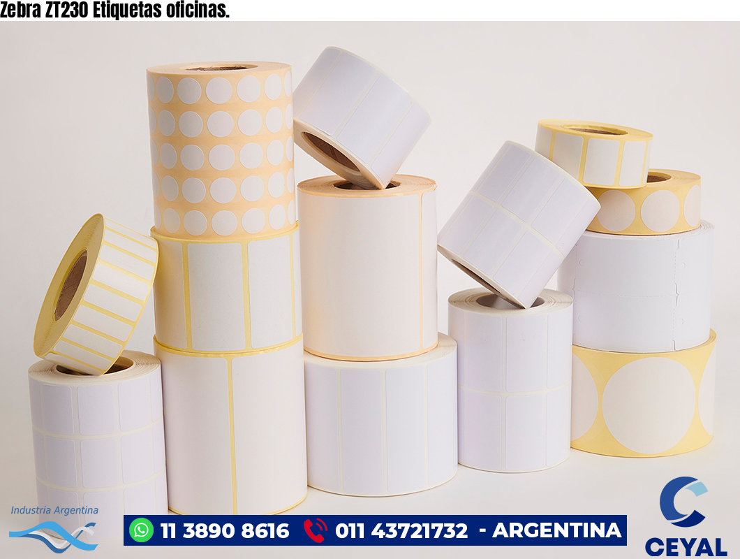 Zebra ZT230 Etiquetas oficinas.