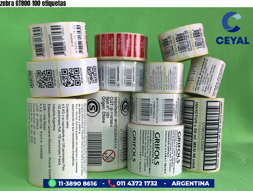 zebra GT800 100 etiquetas