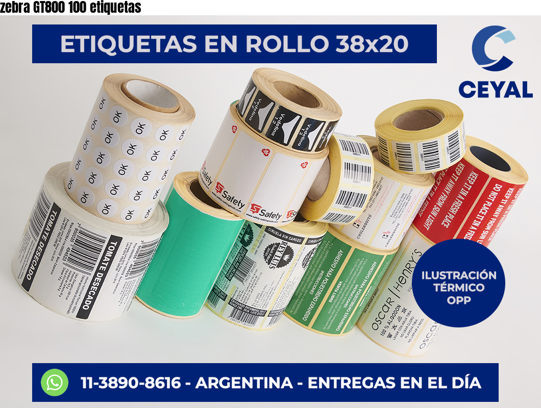 zebra GT800 100 etiquetas