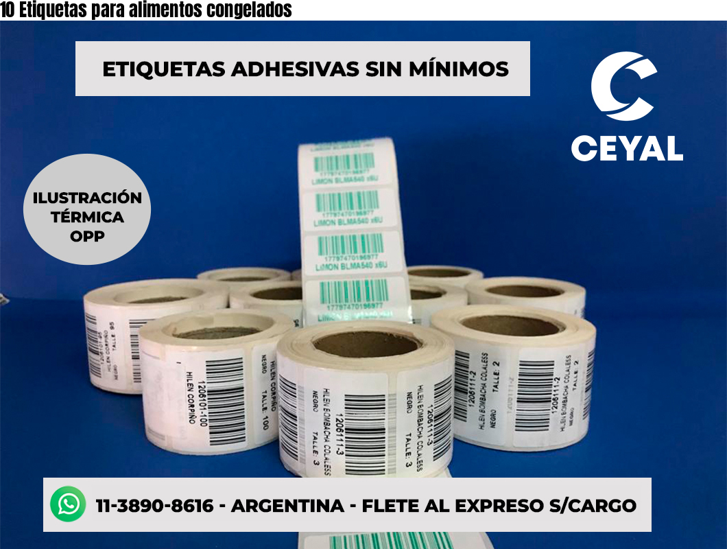 10 Etiquetas para alimentos congelados
