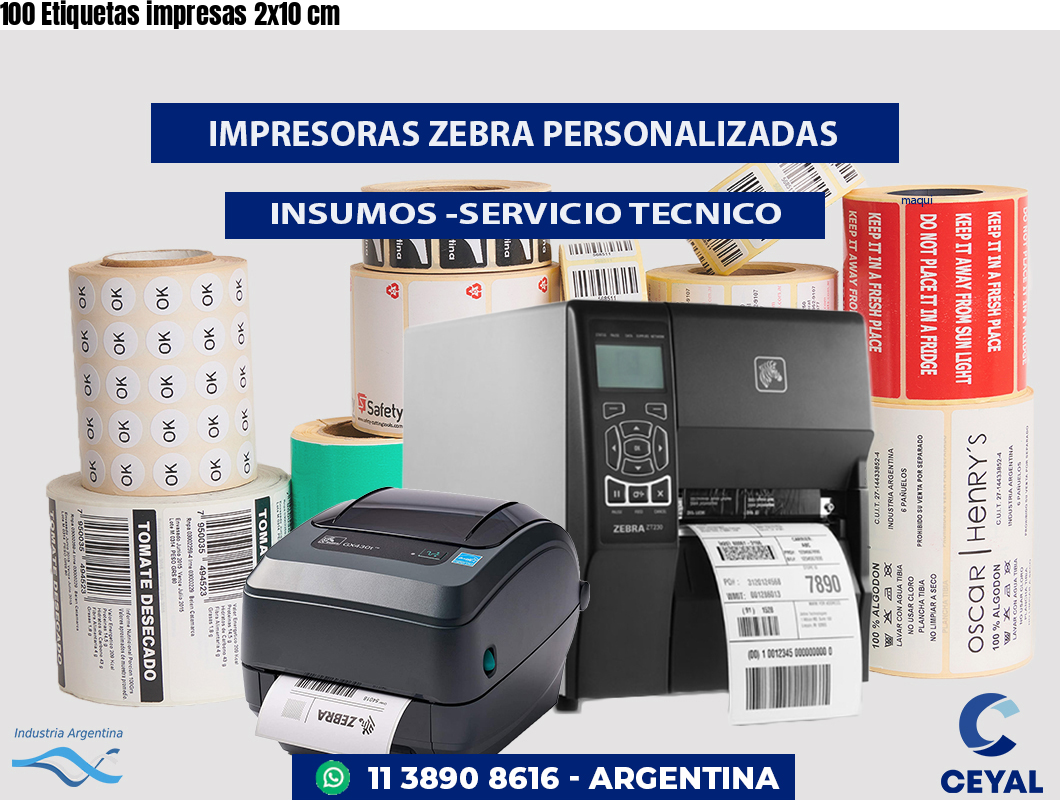 100 Etiquetas impresas 2x10 cm