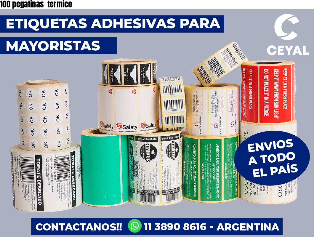 100 pegatinas termico