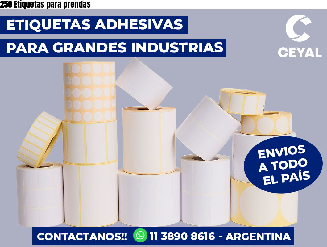 250 Etiquetas para prendas