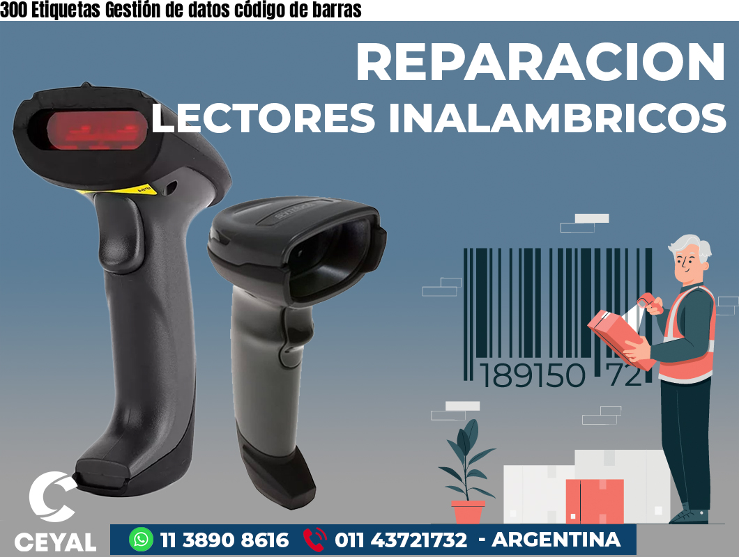 300 Etiquetas Gestión de datos código de barras