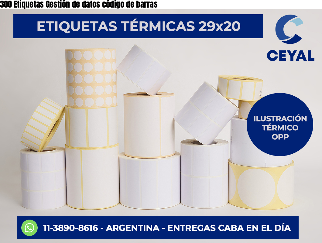 300 Etiquetas Gestión de datos código de barras