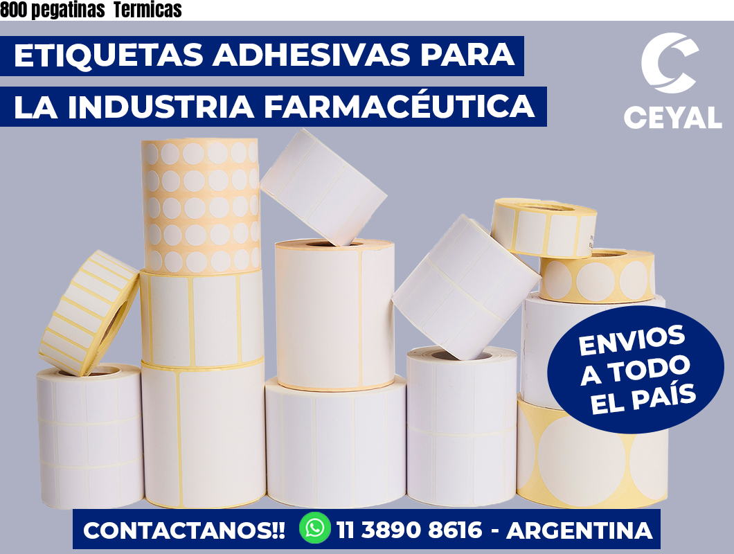 800 pegatinas Termicas