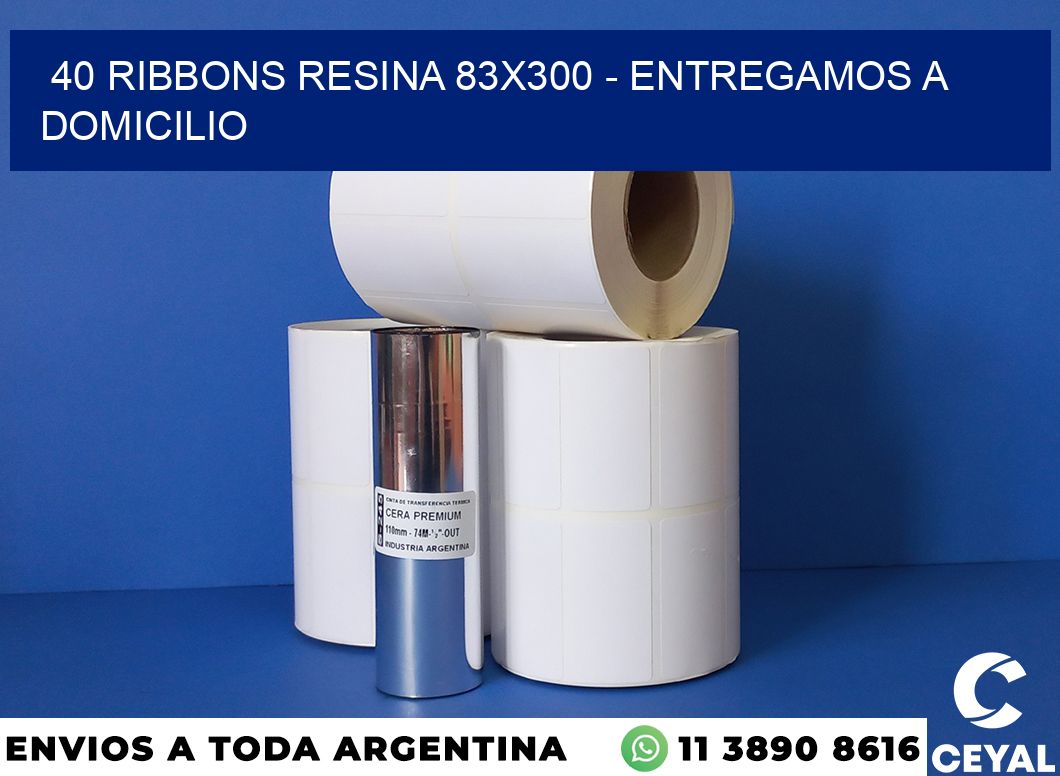 40 Ribbons resina 83×300 – entregamos a domicilio