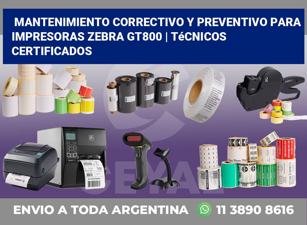 Mantenimiento correctivo y preventivo para impresoras Zebra GT800 | Técnicos certificados