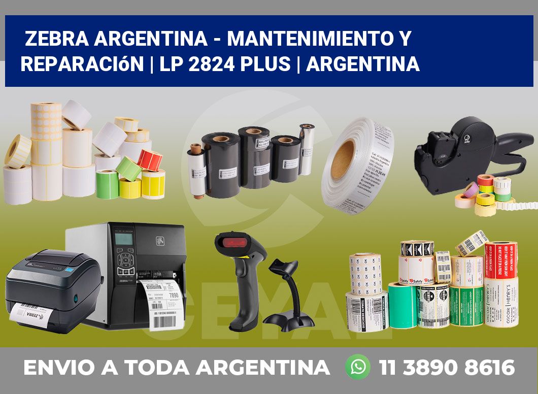 Zebra argentina – Mantenimiento y reparación | LP 2824 Plus | Argentina