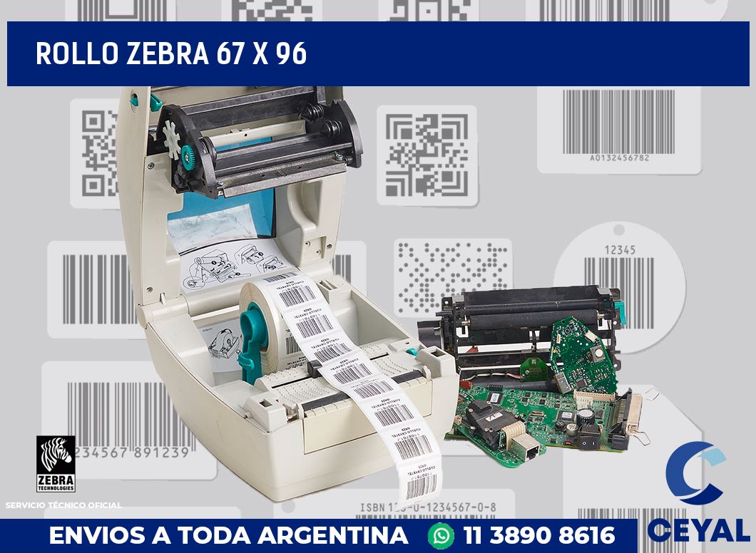 rollo zebra 67 x 96