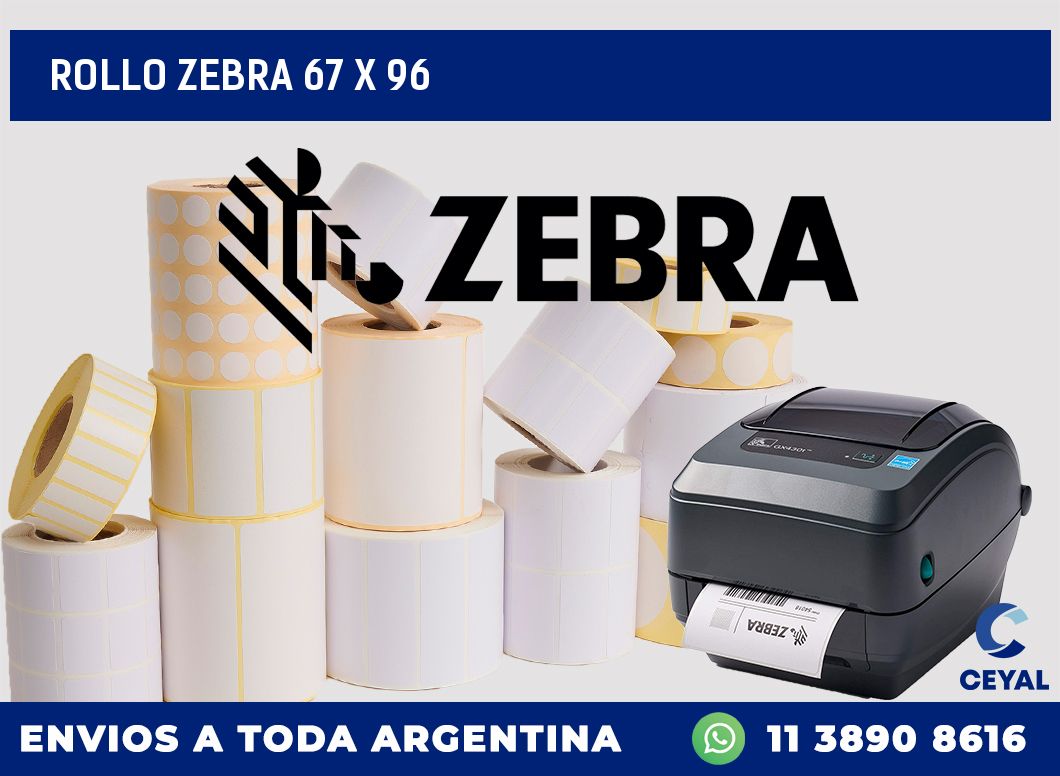 rollo zebra 67 x 96