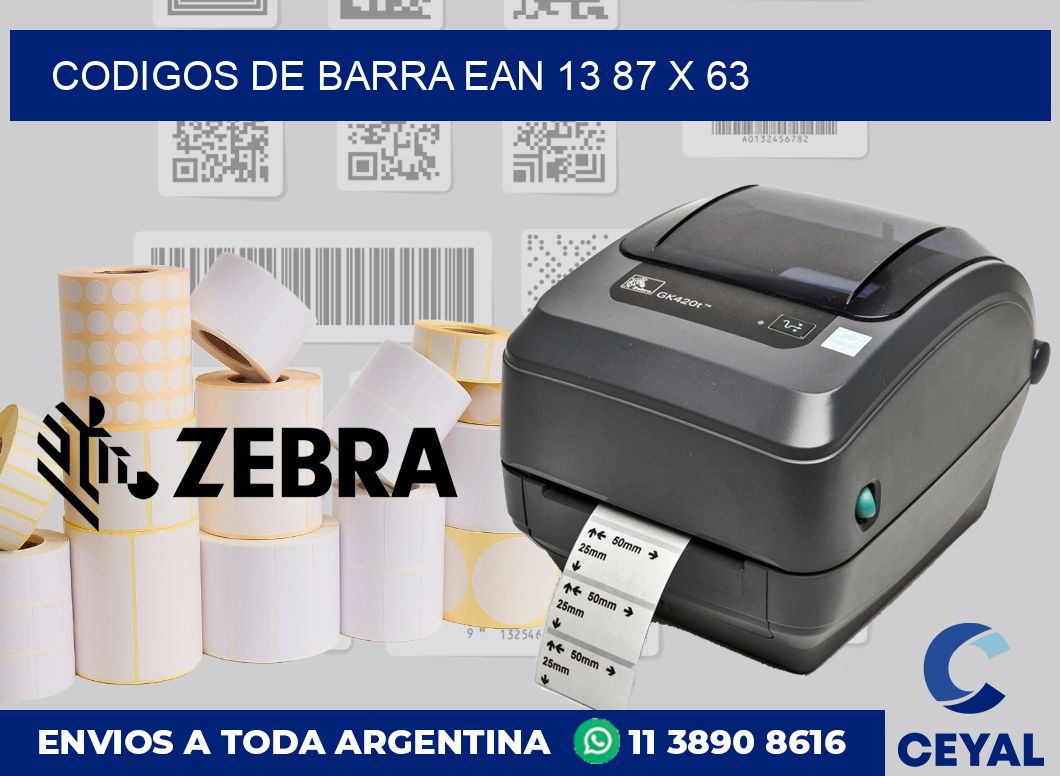 Codigos de barra EAN 13 87 x 63