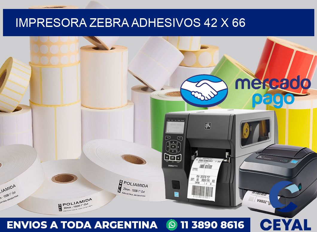 Impresora Zebra adhesivos 42 x 66