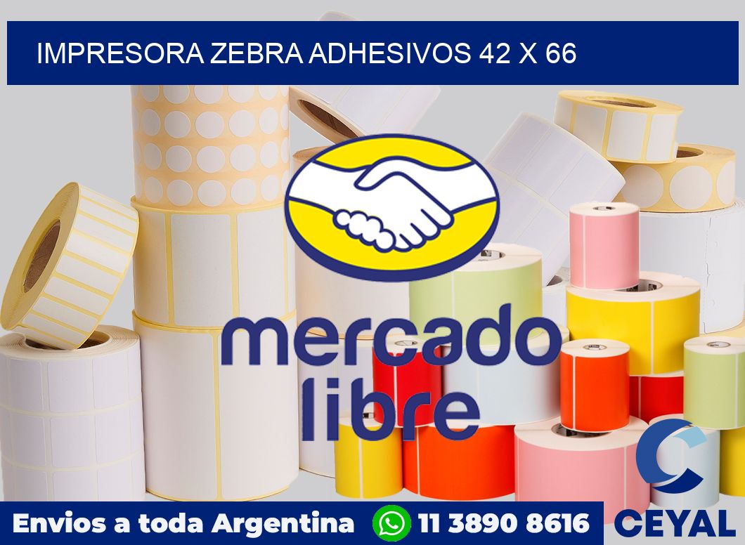 Impresora Zebra adhesivos 42 x 66
