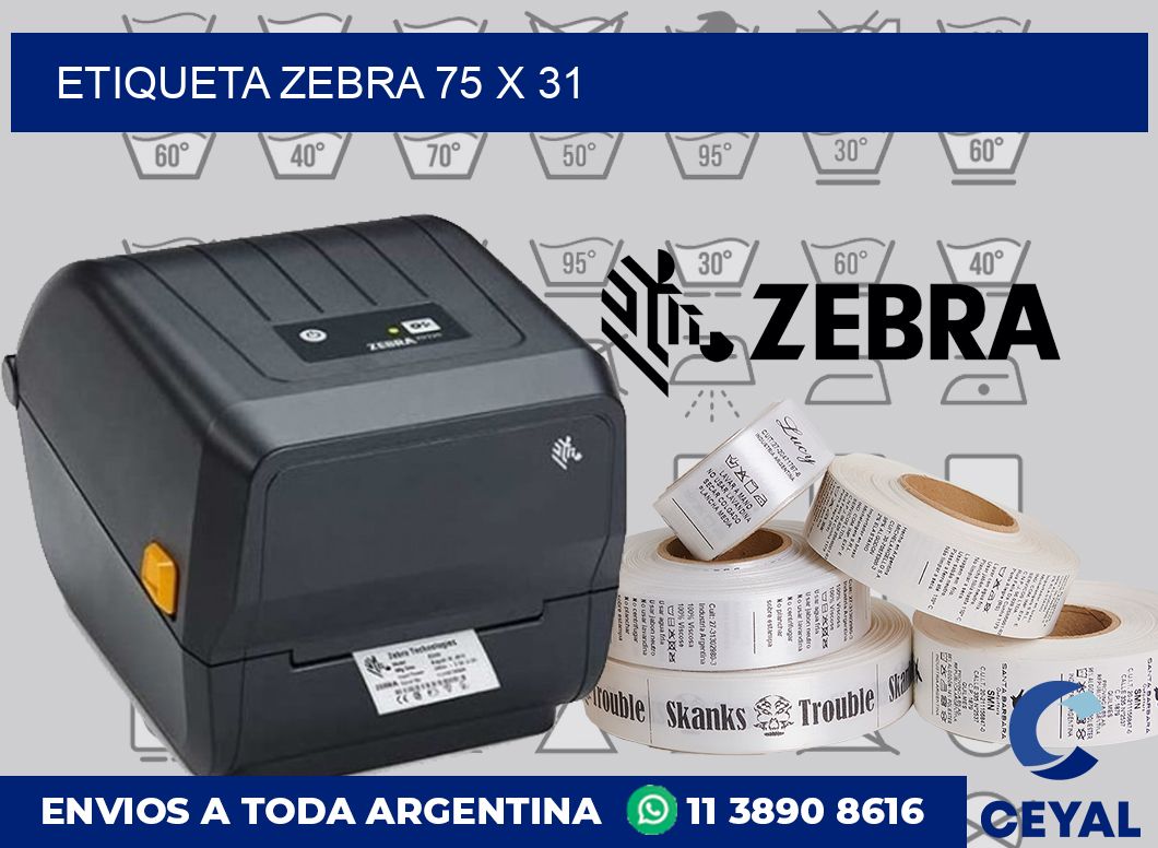 etiqueta zebra 75 x 31