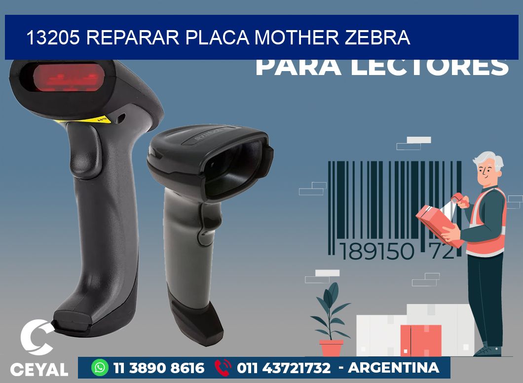 13205 REPARAR PLACA MOTHER ZEBRA